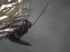 Phaenolobus terebrator